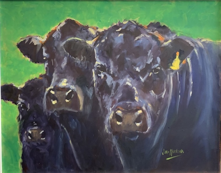 Jane MacIntosh | Angus Bulls  (Green) |McAtamney Gallery and Desgin Store | Geraldine NZ